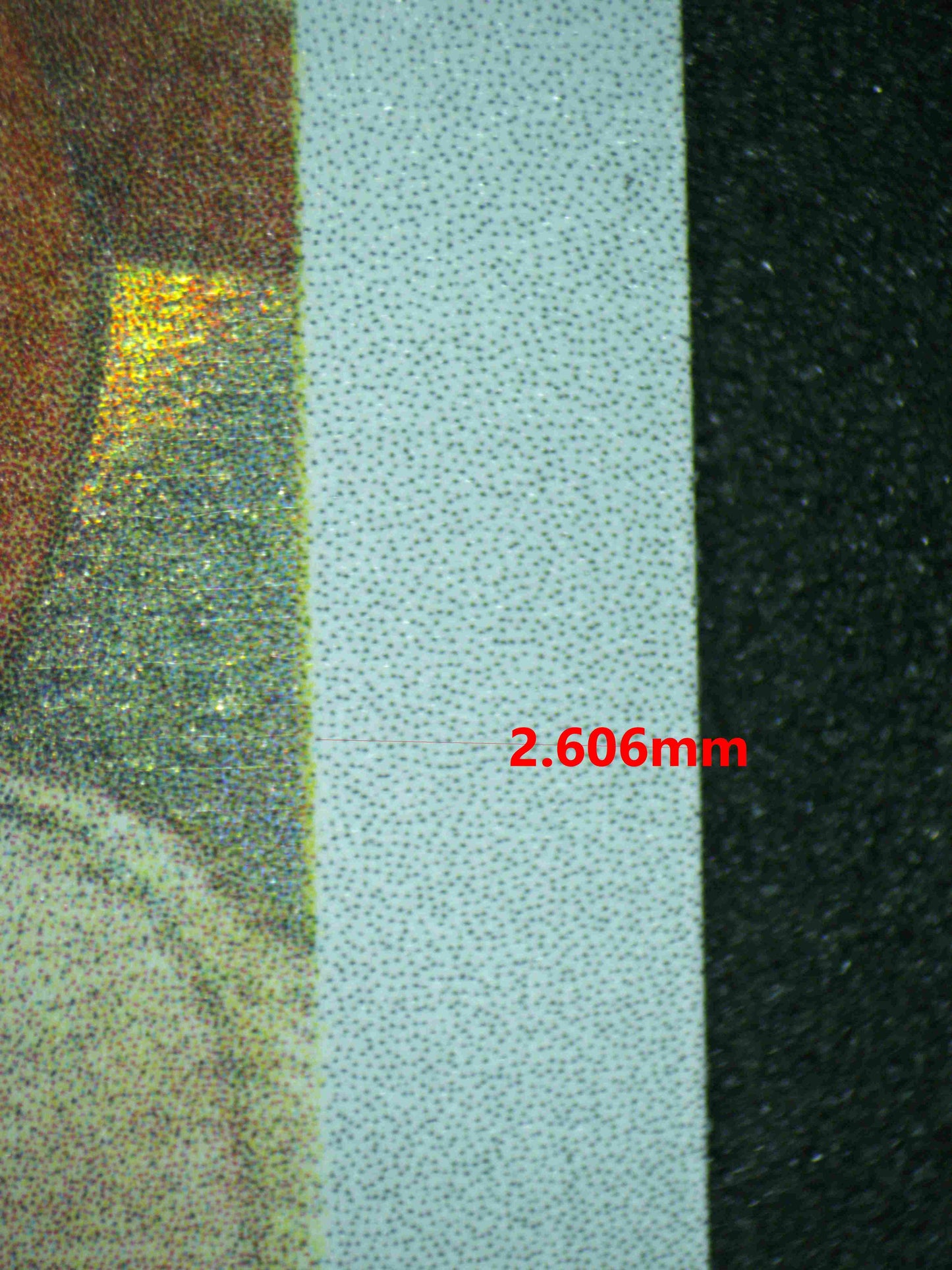 07053 EEVEE Grading Card