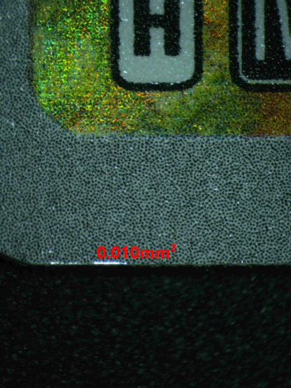 07054 EEVEE Grading Card