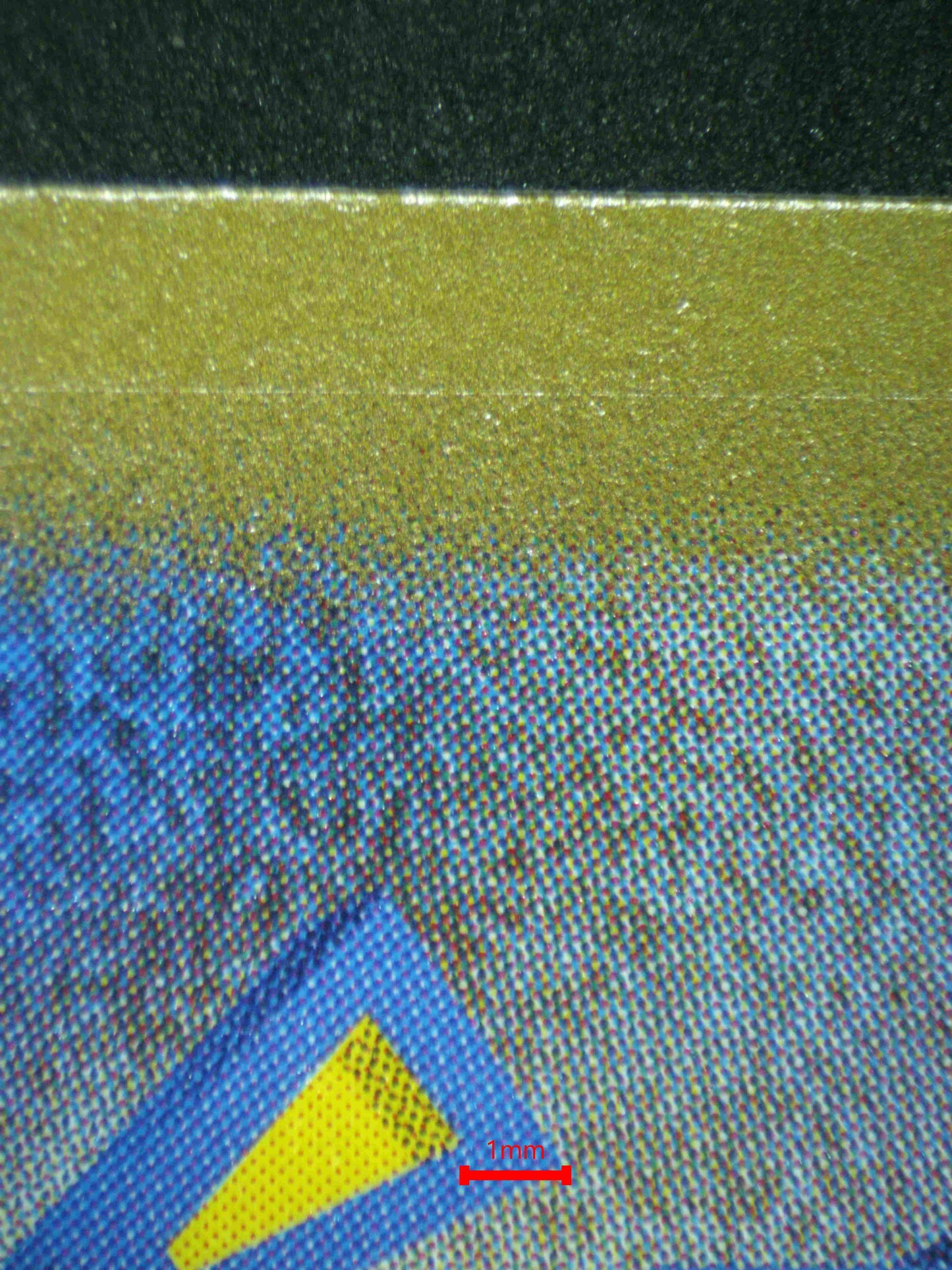 07056 SQUIRTLE (JAPANESE) Grading Card