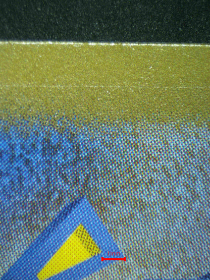 07056 SQUIRTLE (JAPANESE) Grading Card