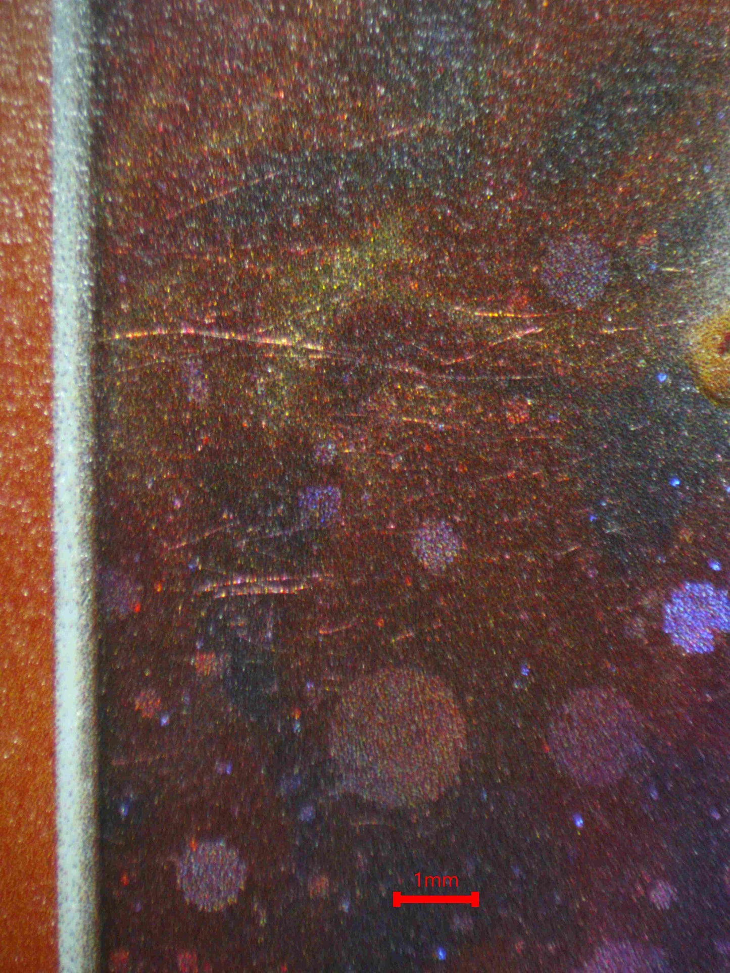 07068 CHARIZARD (SPANISH) Grading Card