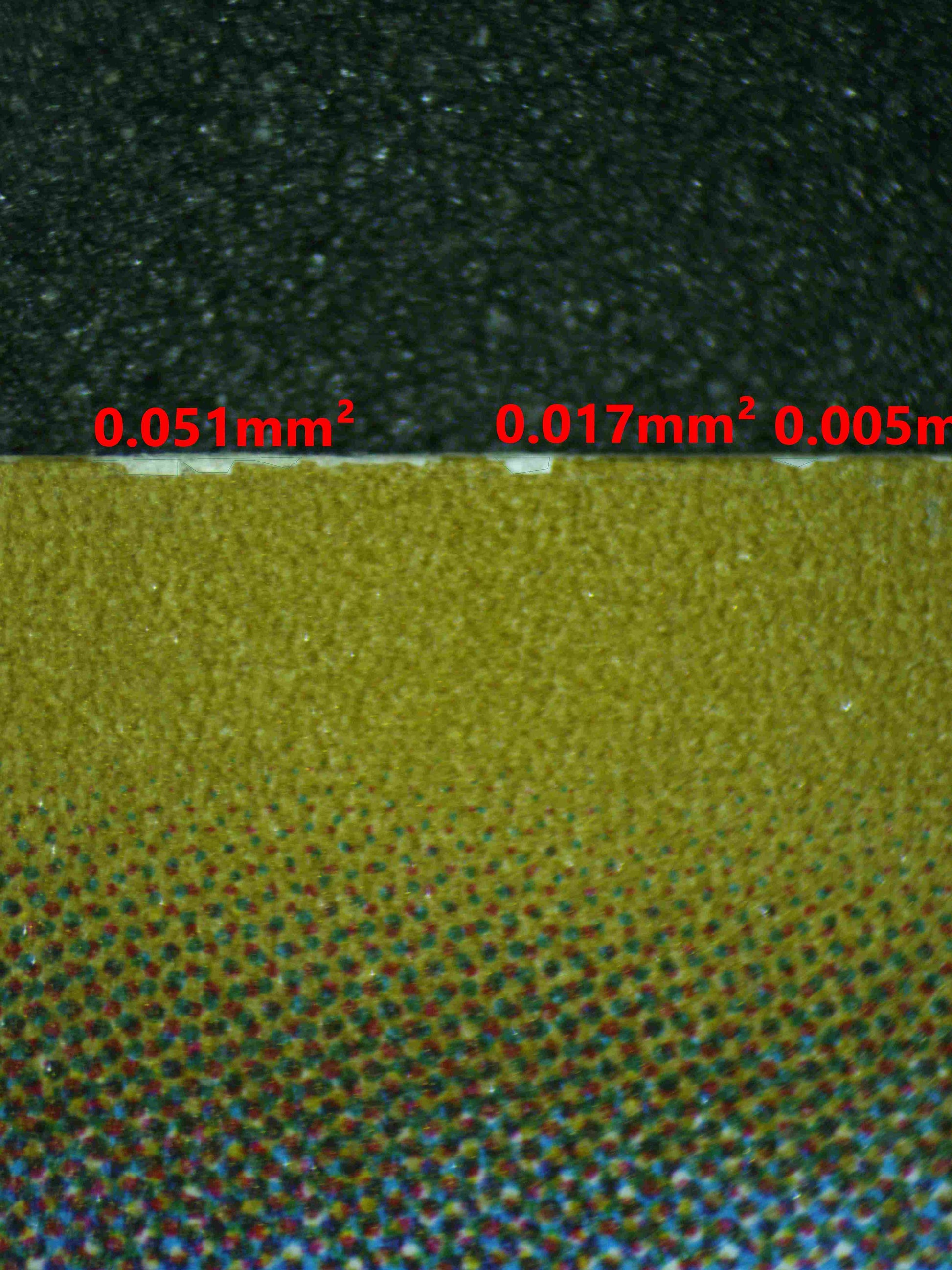 07073 SKYLA (JAPANESE) Grading Card