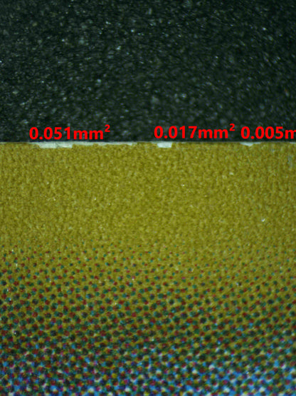 07073 SKYLA (JAPANESE) Grading Card