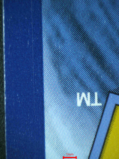 07080 HOP'S ZACIAN EX Grading Card