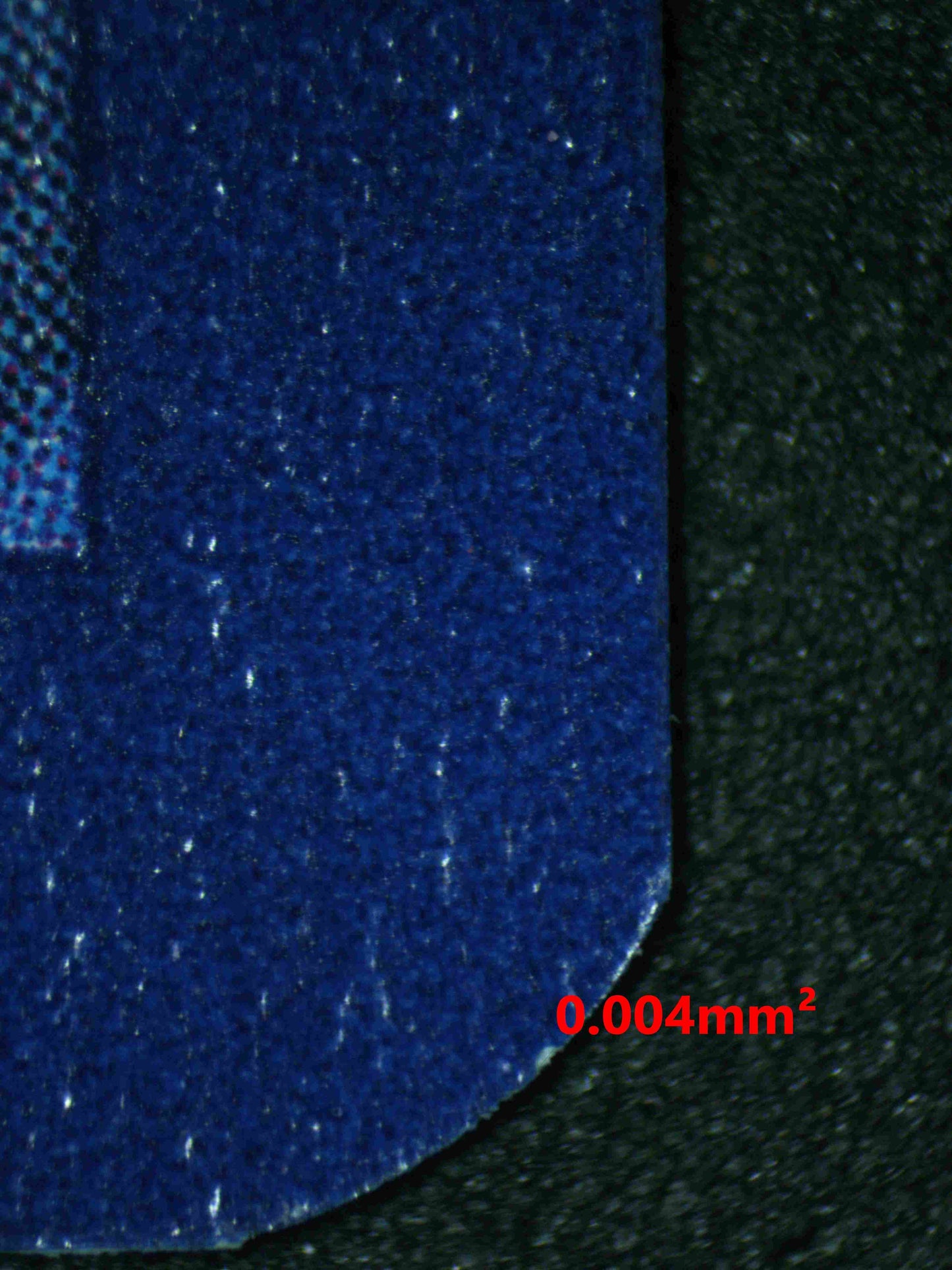 07082 VENUSAUR EX Grading Card