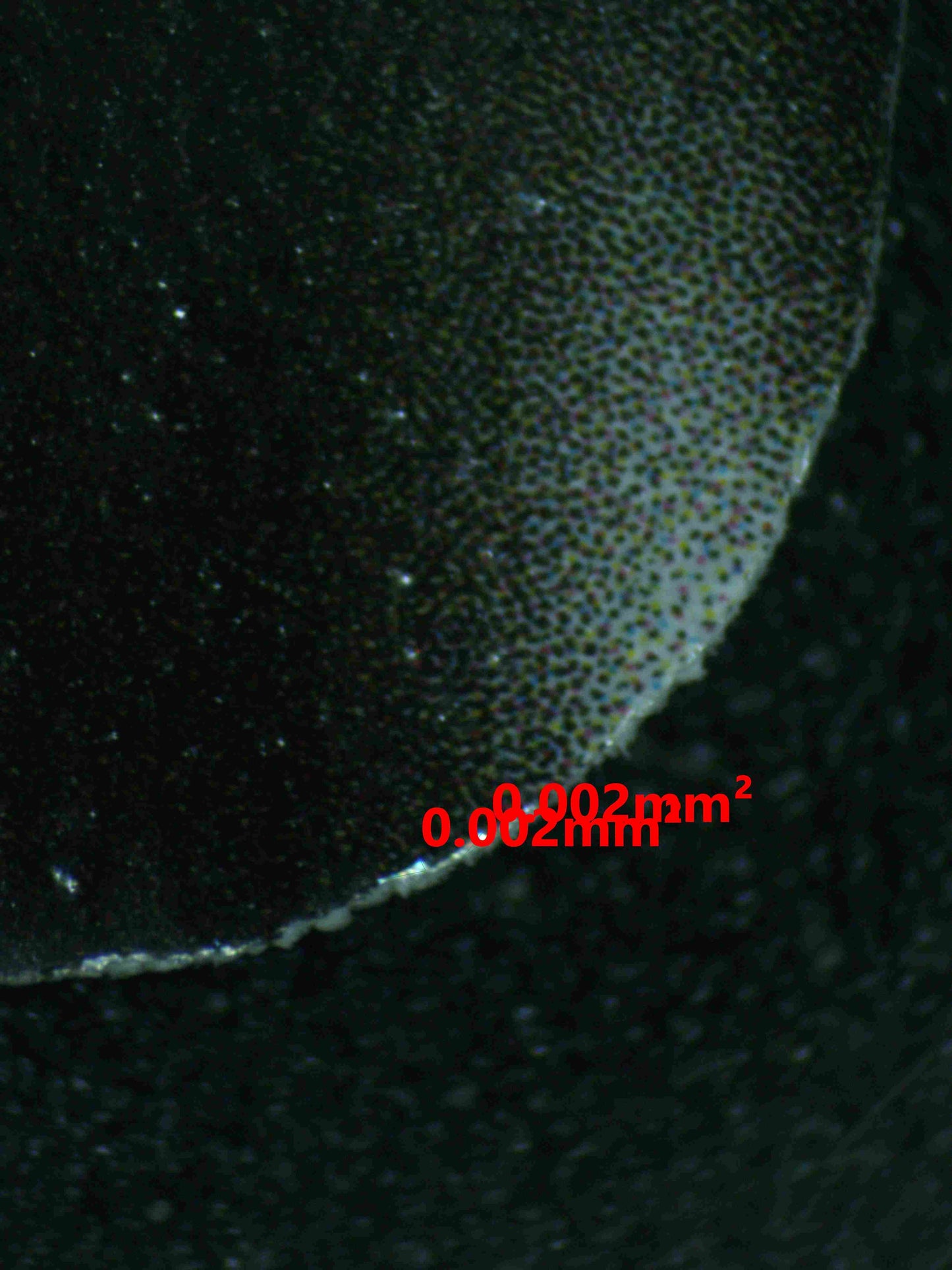 07086 SYLVEON V (SPANISH) Grading Card