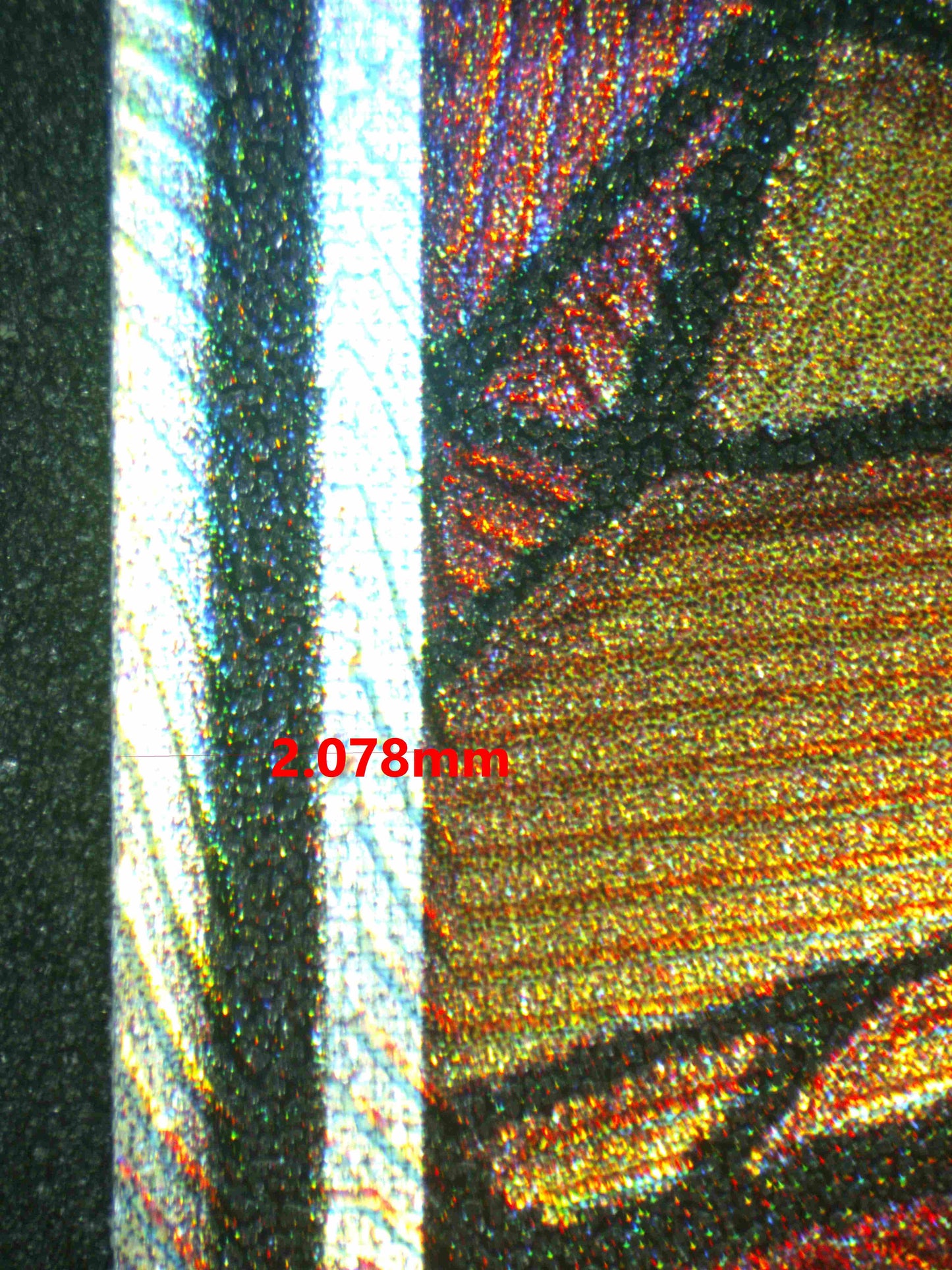 07087 MOLTRES & ZAPDOS & ARTICUNO GX (SPANISH) Grading Card