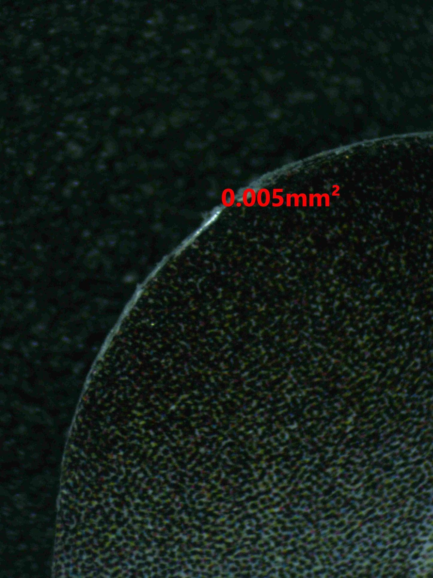 07090 UMBREON V (SPANISH) Grading Card