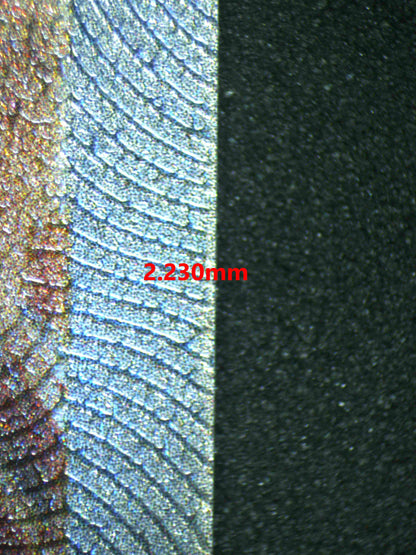 07093 ENTEI V (SPANISH) Grading Card