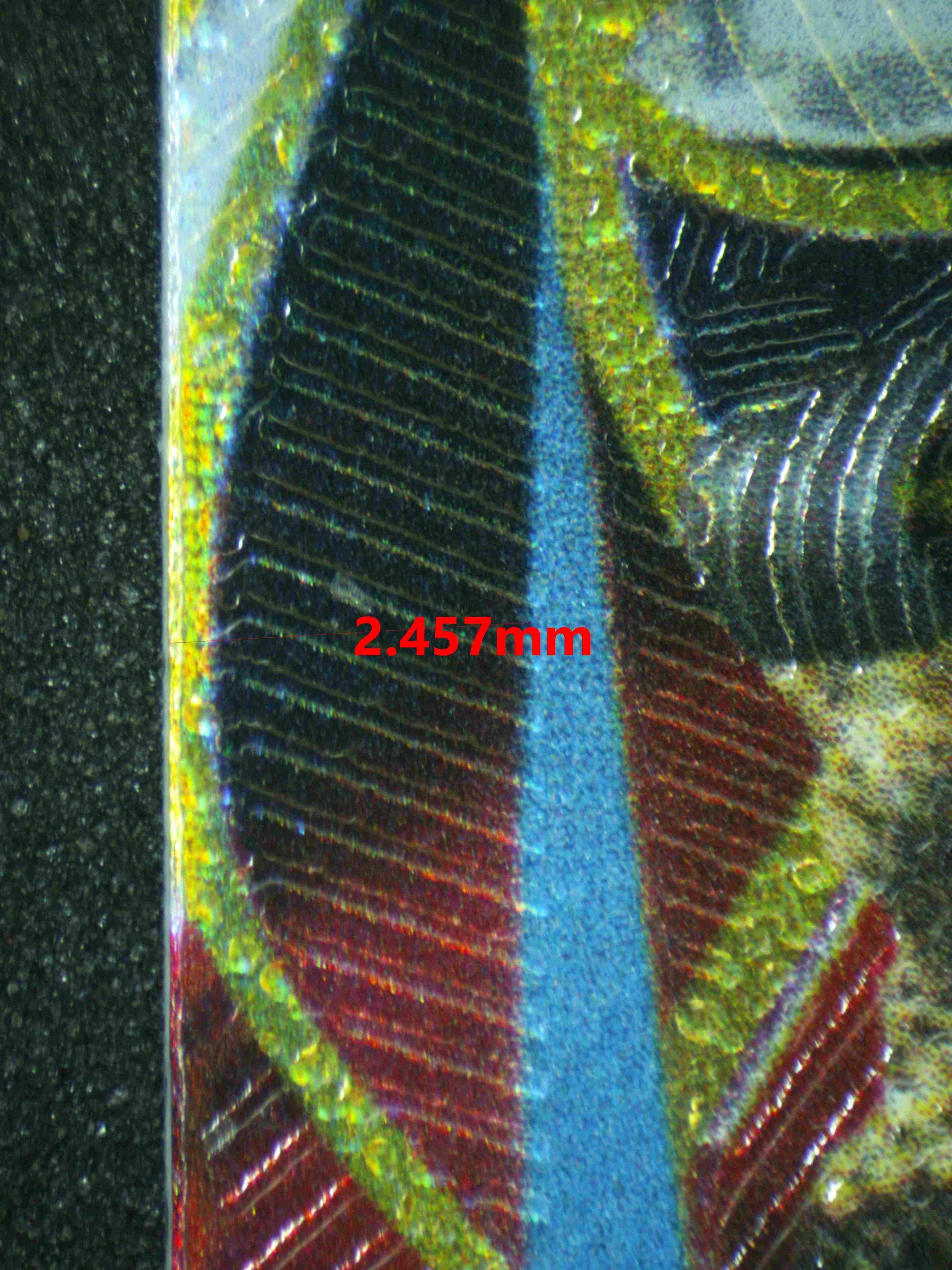 07100 PRIMAL GROUDON EX Grading Card