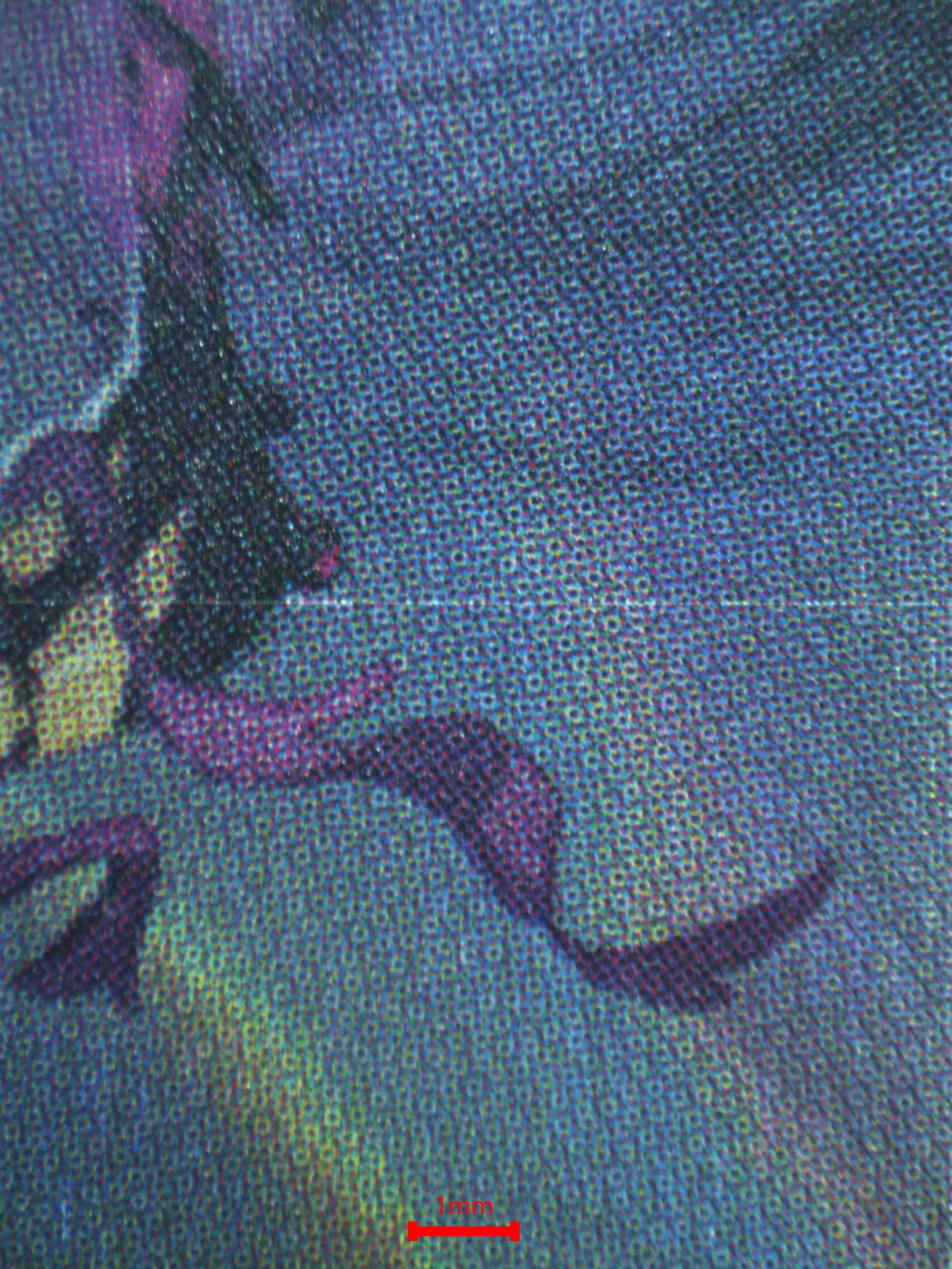 07103 URSULA - SEA WITCH QUEEN Grading Card