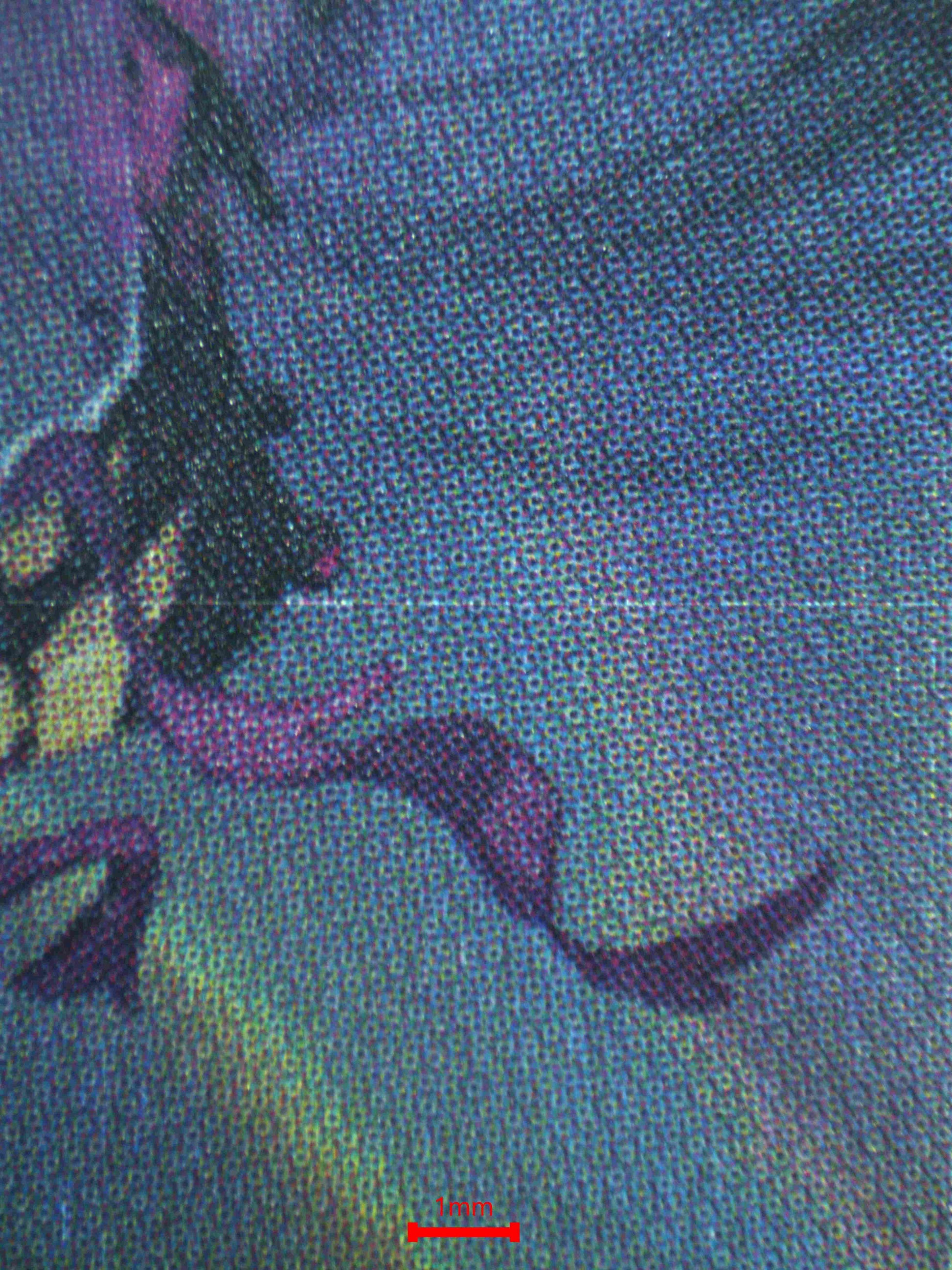 07103 URSULA - SEA WITCH QUEEN Grading Card