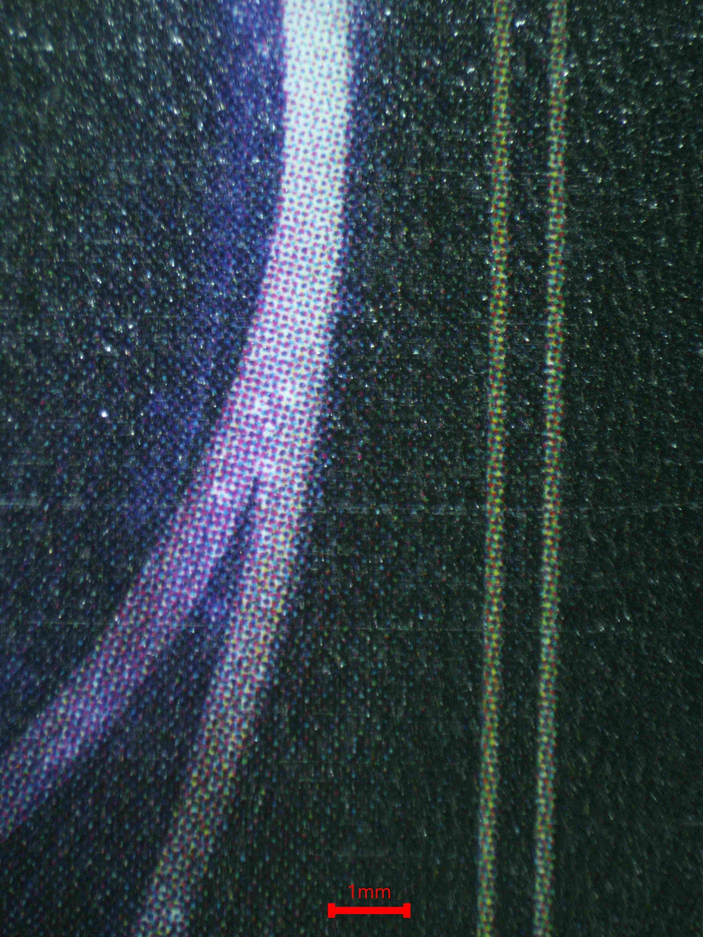 07104 SCAR - HEARTLESS HUNTER Grading Card