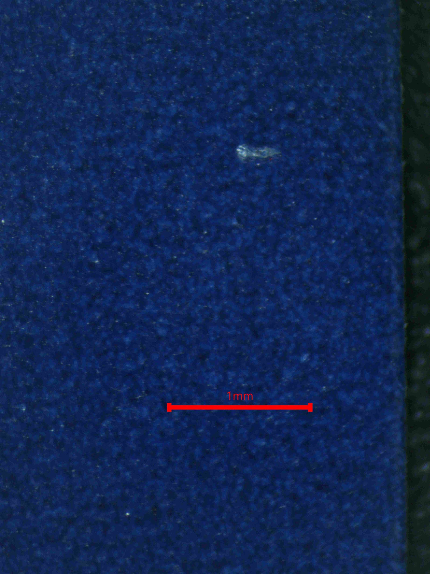 07109 LAIRON Grading Card