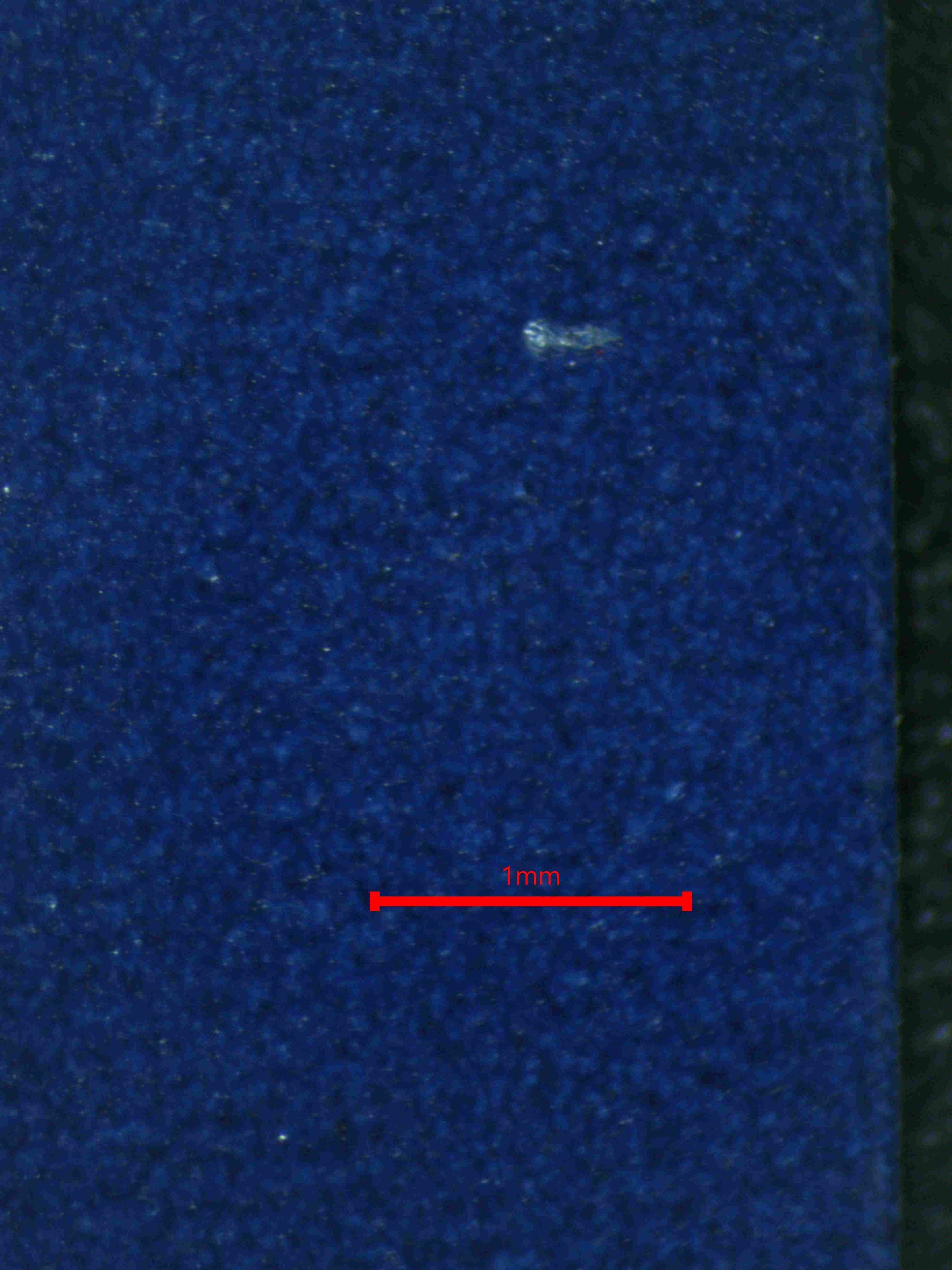 07109 LAIRON Grading Card