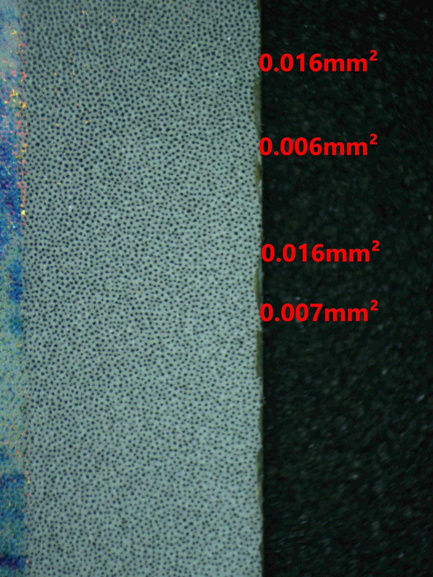 07110 ARTICUNO Grading Card