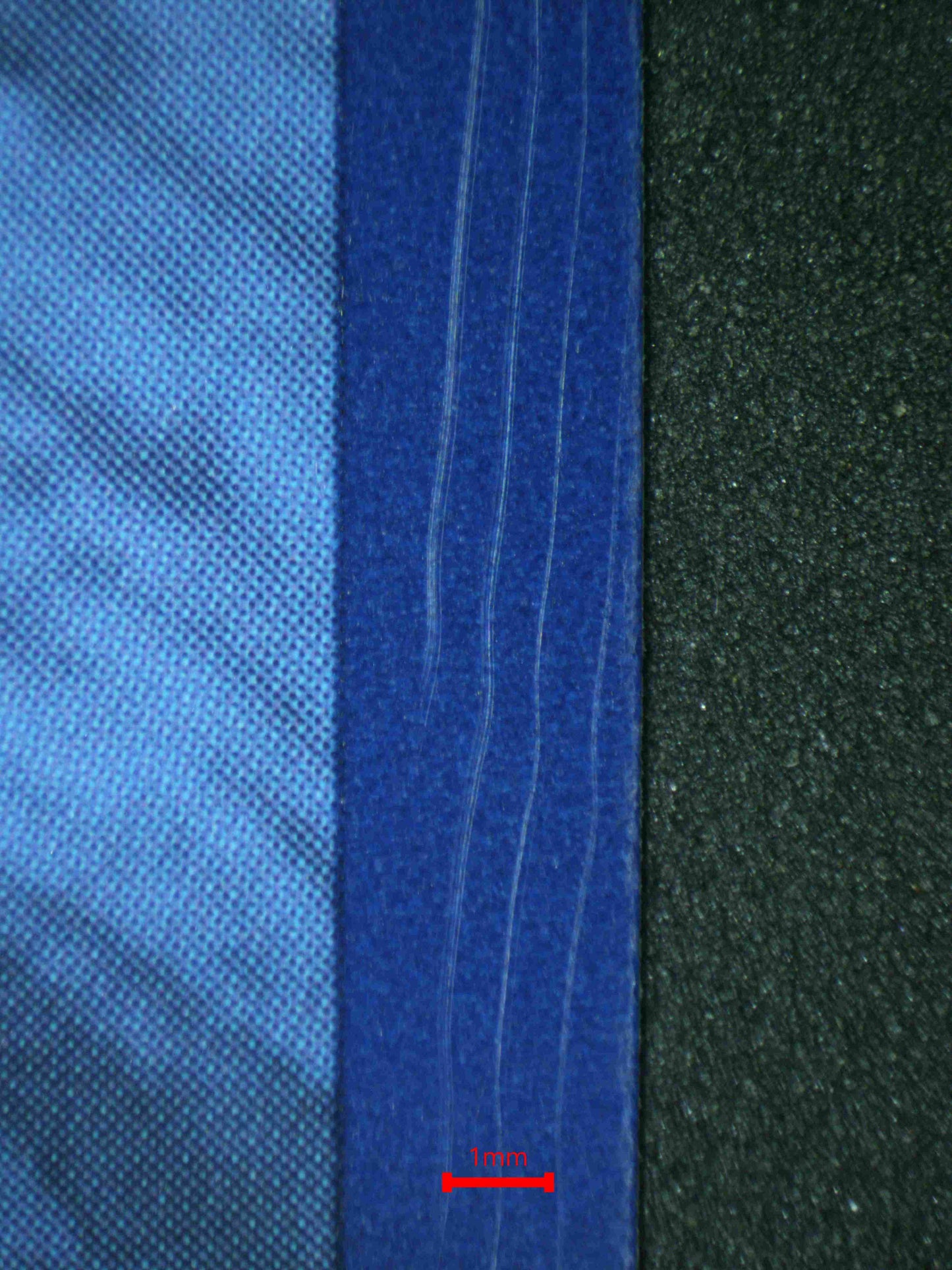 07119 ZAPDOS EX (SPANISH) Grading Card