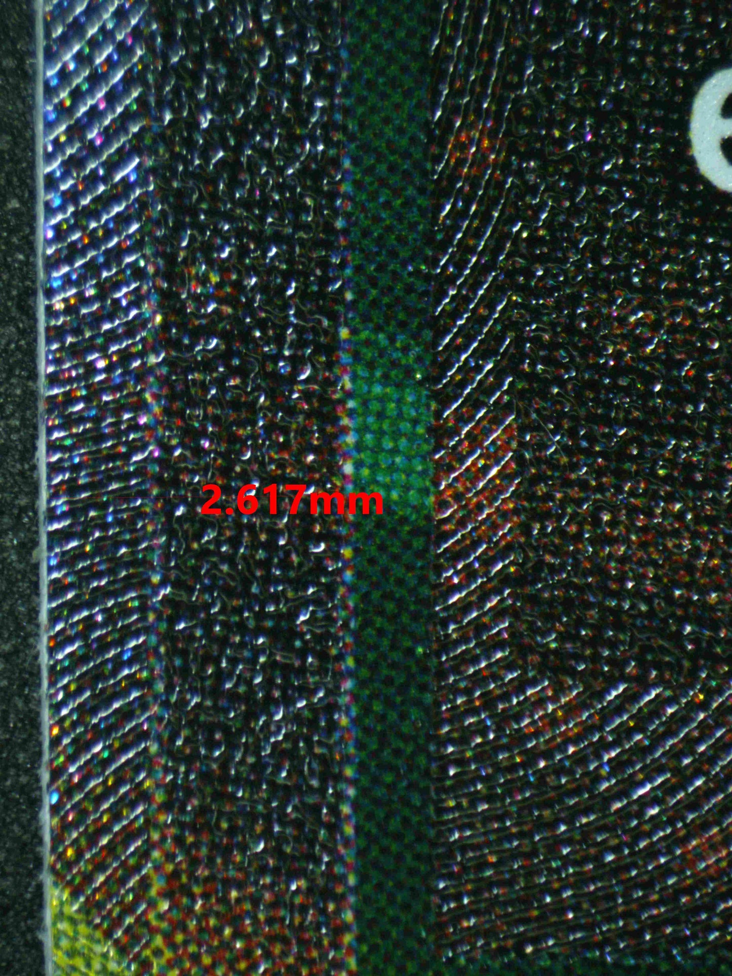 07122 TRUNKS: FUTURE Grading Card