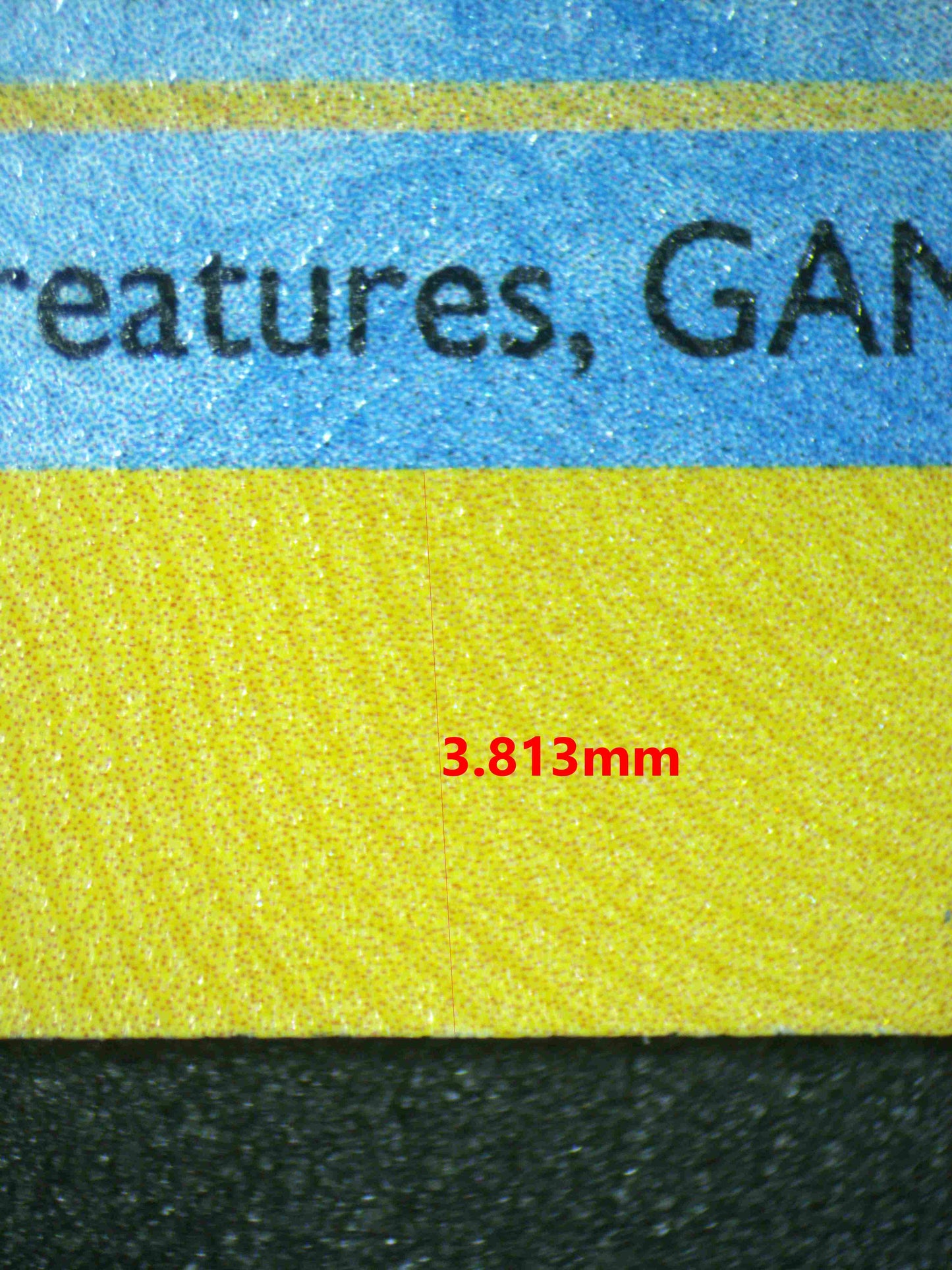 07137 BLASTOISE Grading Card