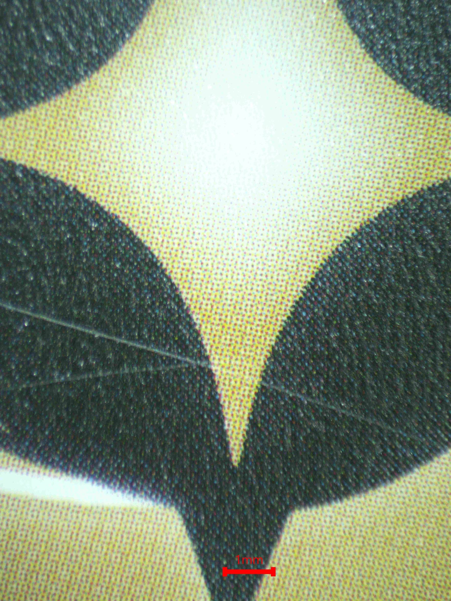 07157 THE GLASS SLIPPER Grading Card