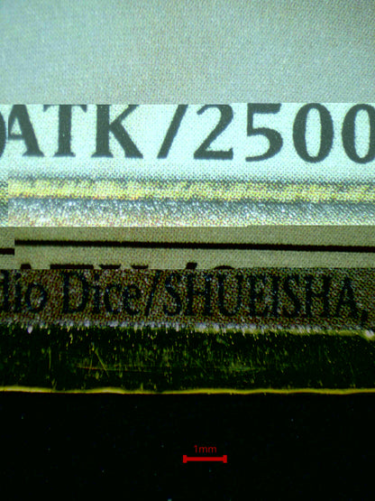 07166 DARK MAGICIAN Grading Card