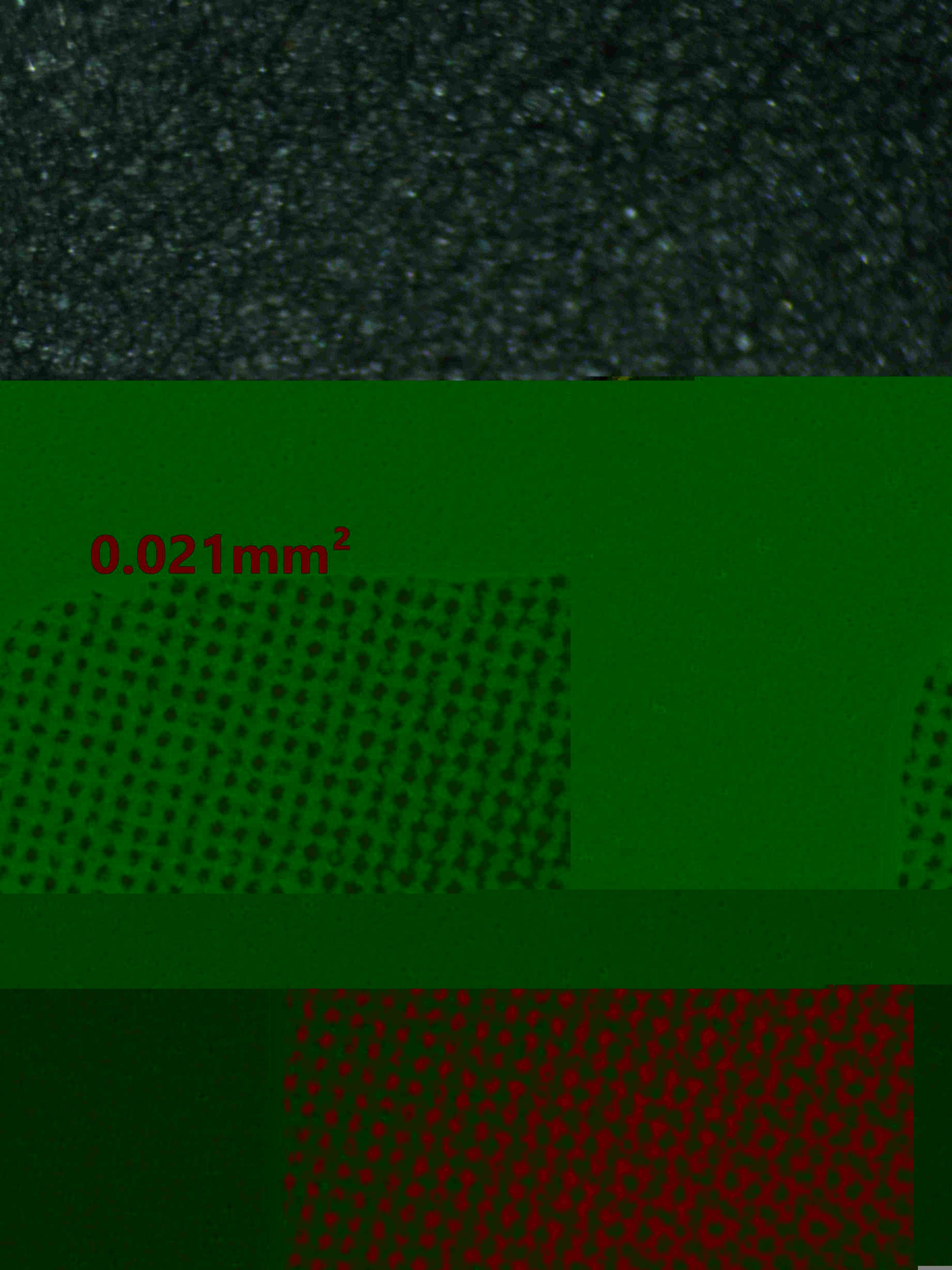 07166 DARK MAGICIAN Grading Card