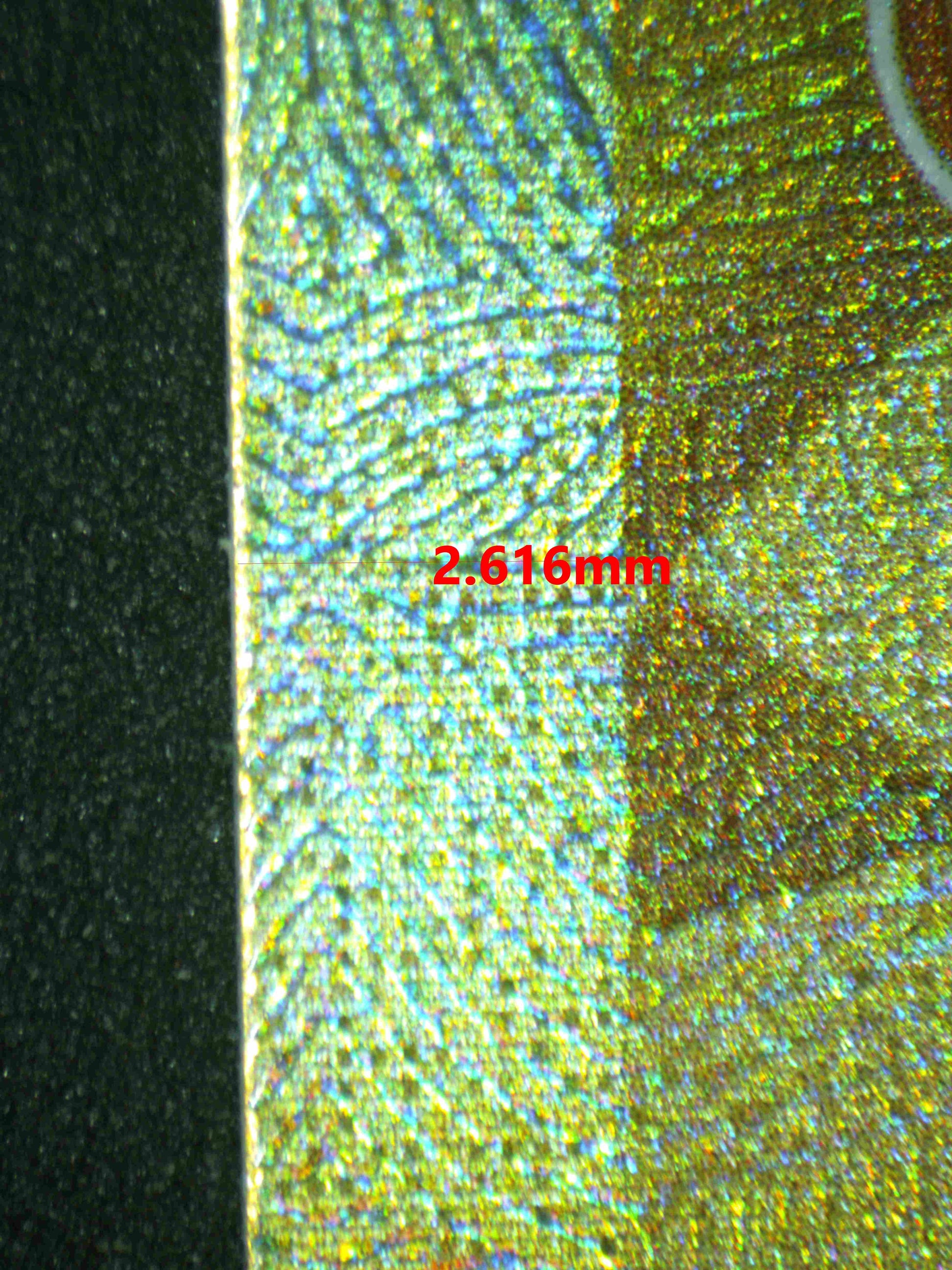 07176 GARCHOMP EX Grading Card