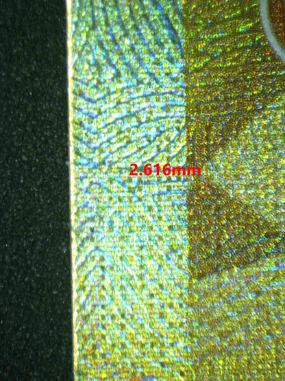 07176 GARCHOMP EX Grading Card