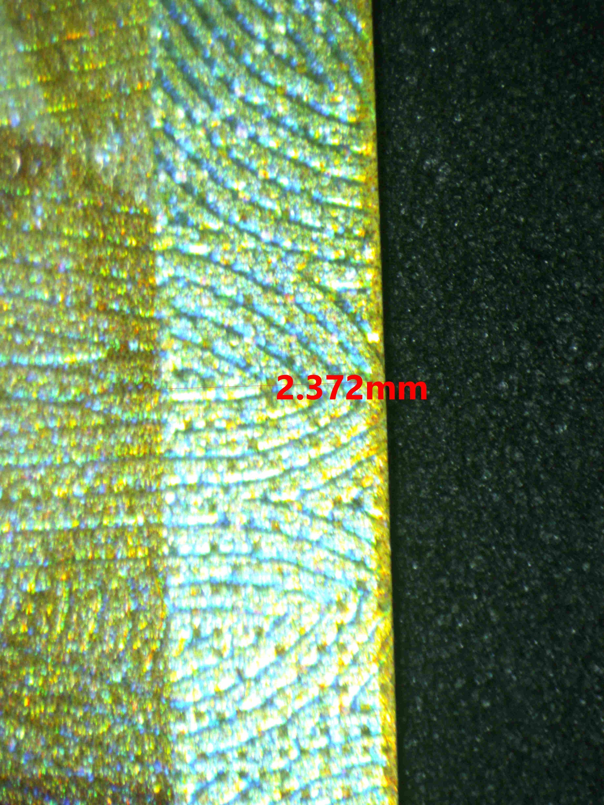 07176 GARCHOMP EX Grading Card