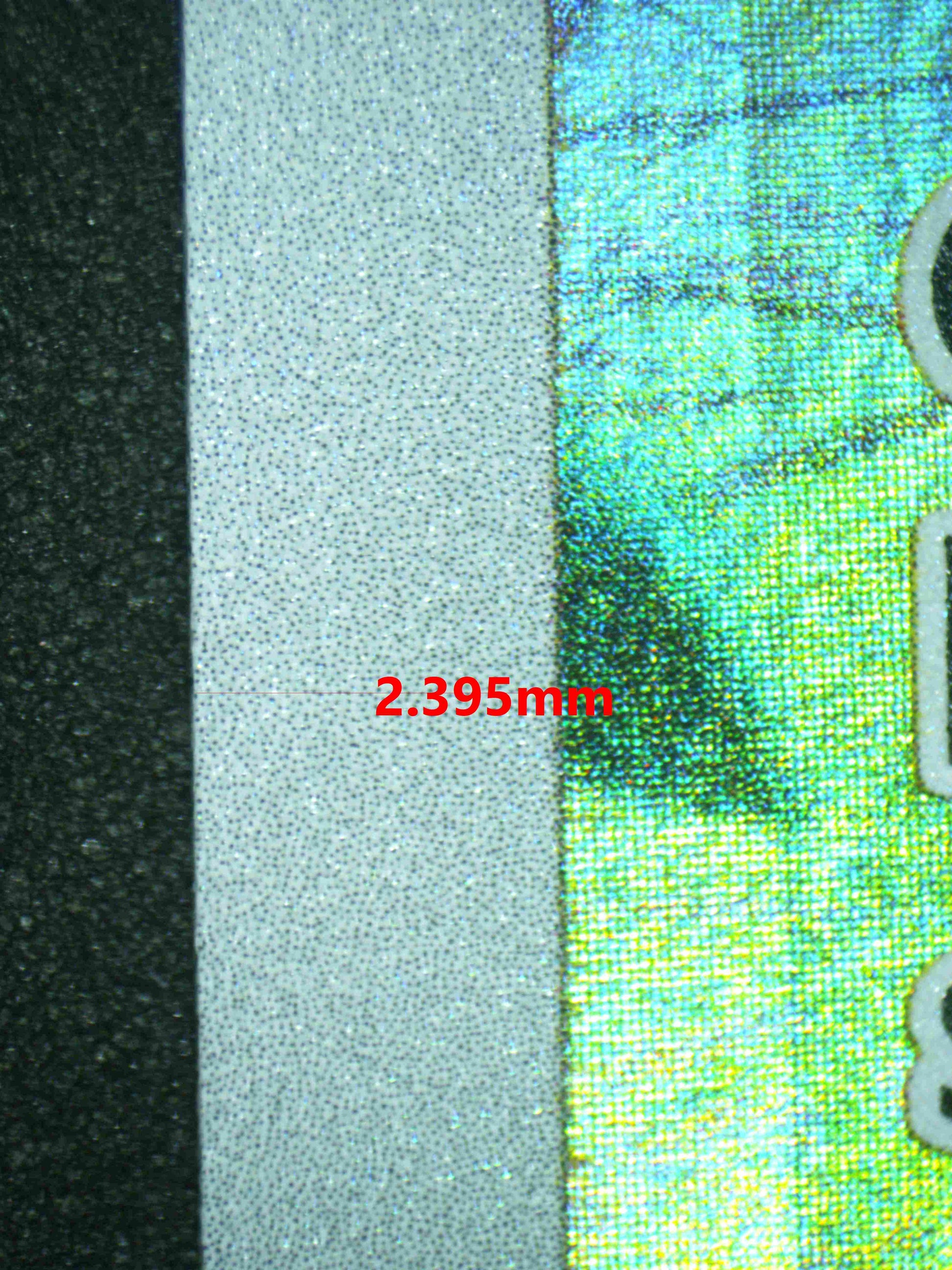 07180 PAWMOT Grading Card