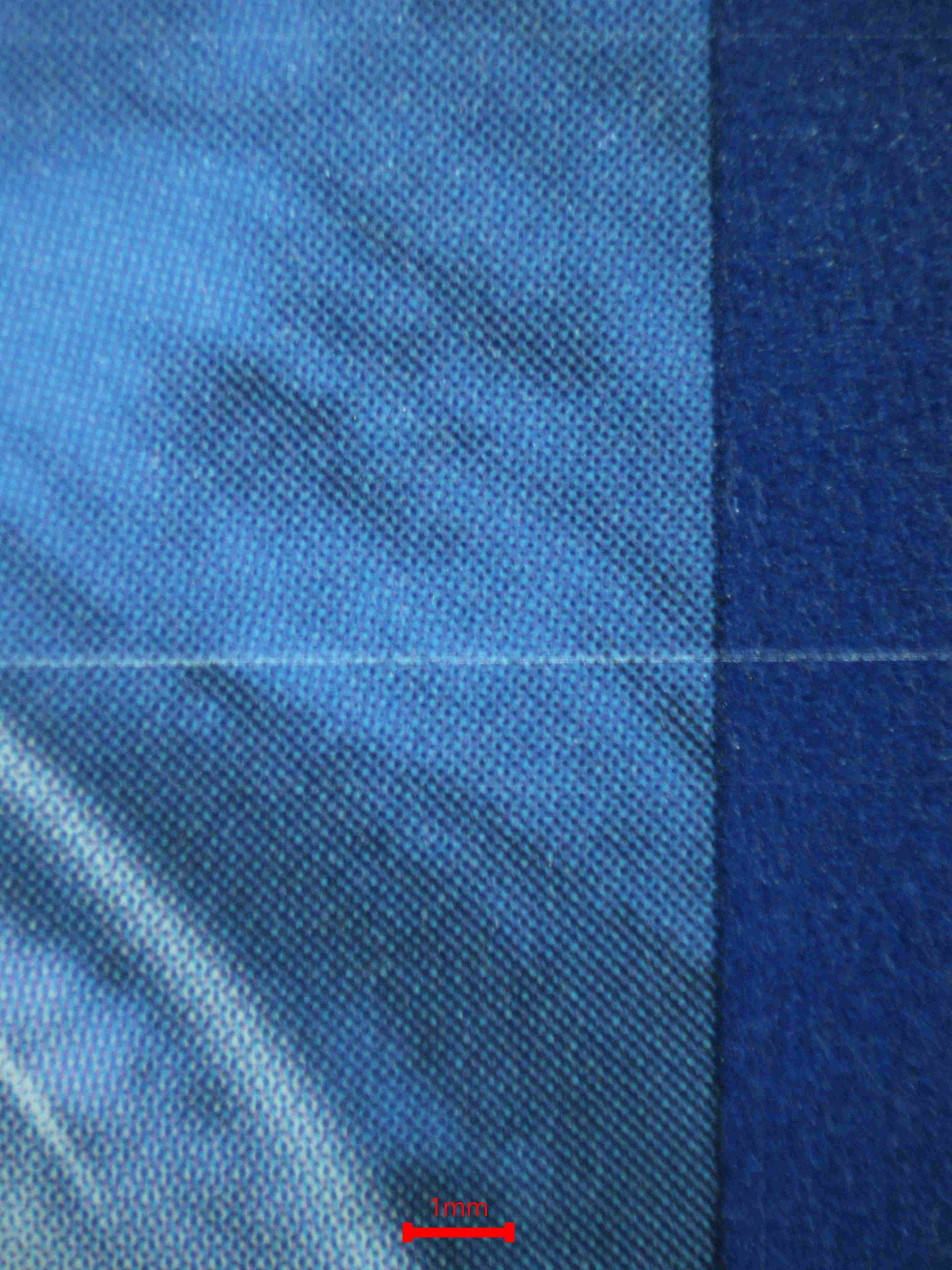 07184 SKELEDIRG EX Grading Card