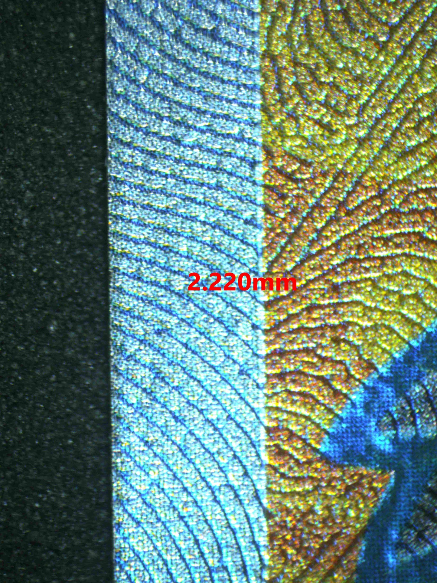 07184 SKELEDIRG EX Grading Card