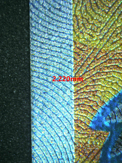 07184 SKELEDIRG EX Grading Card