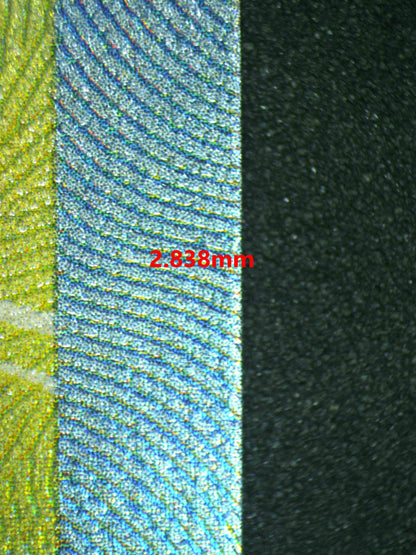 07184 SKELEDIRG EX Grading Card