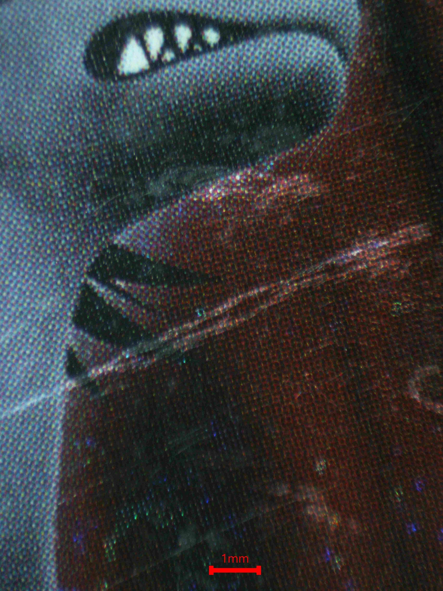 07193 MIGHTYENA EX Grading Card