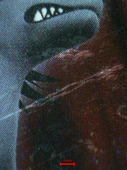 07193 MIGHTYENA EX Grading Card