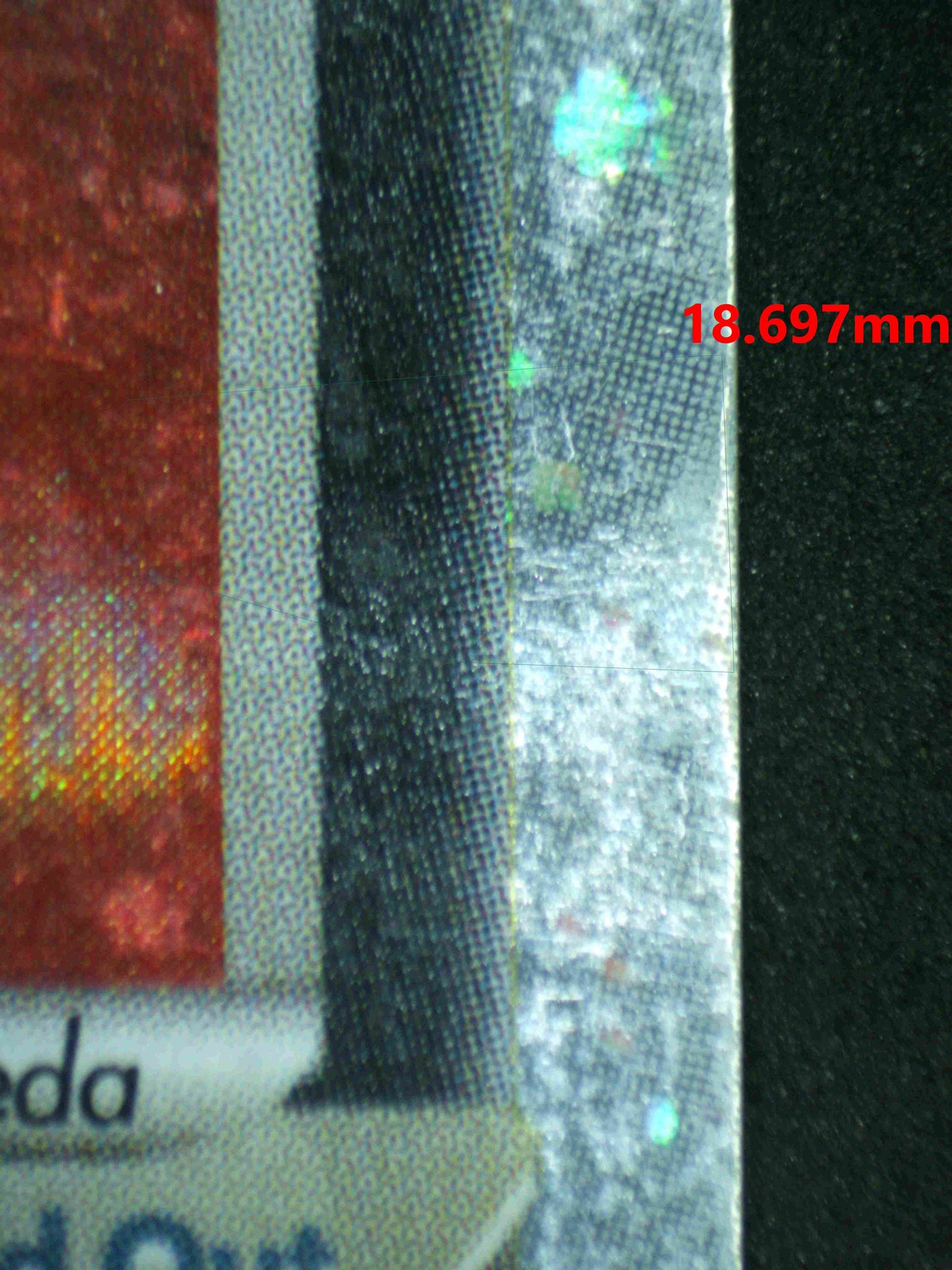 07193 MIGHTYENA EX Grading Card