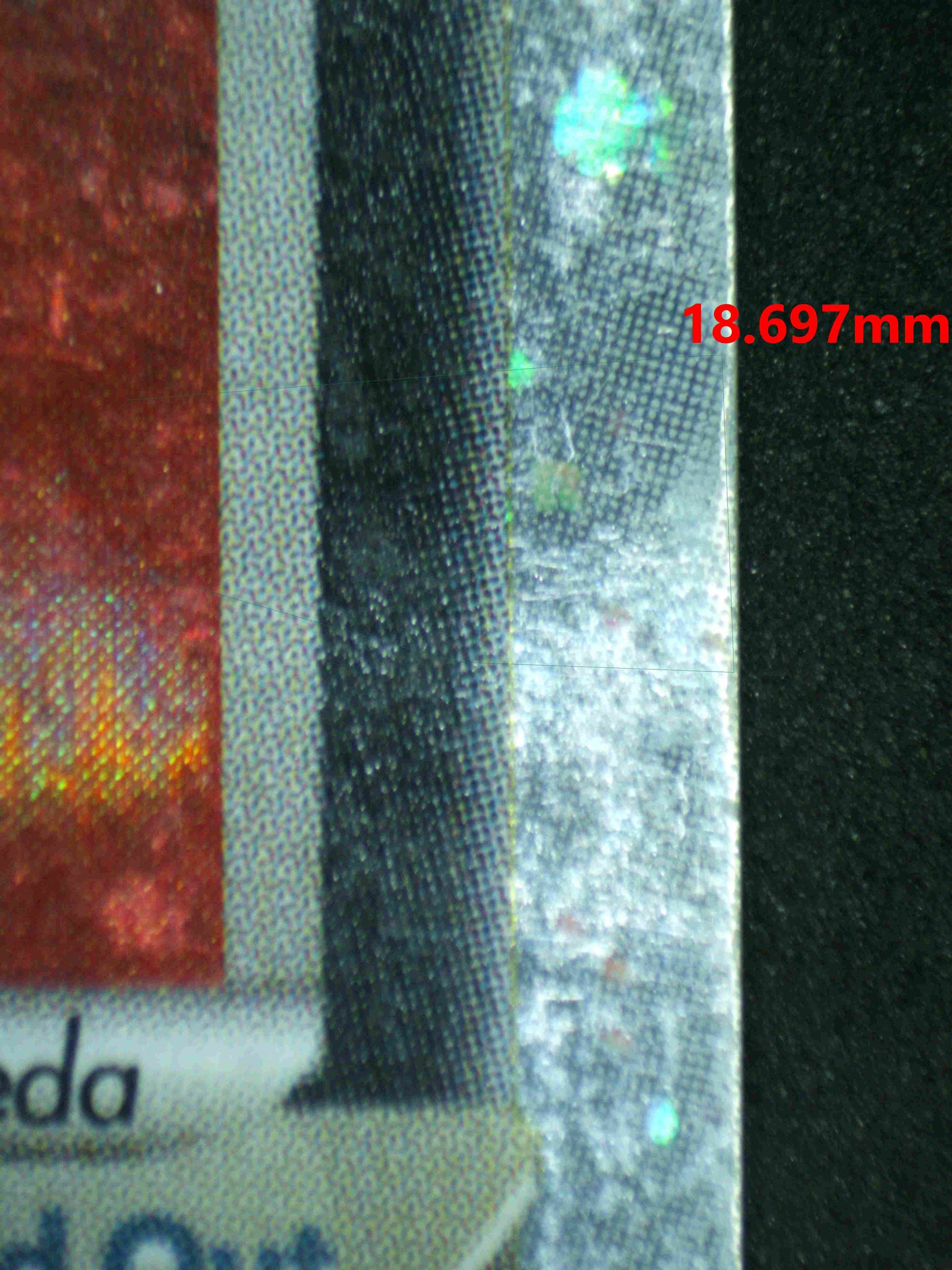 07193 MIGHTYENA EX Grading Card