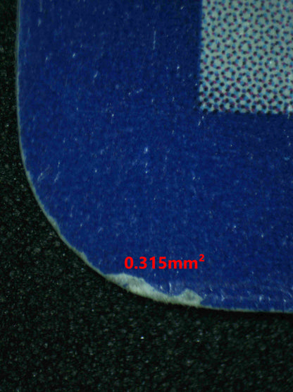 07193 MIGHTYENA EX Grading Card