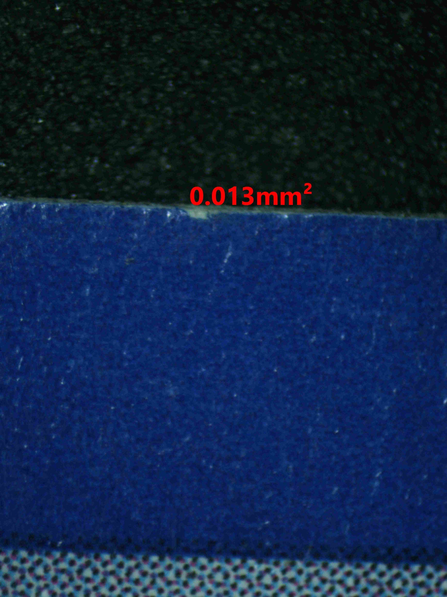 07193 MIGHTYENA EX Grading Card