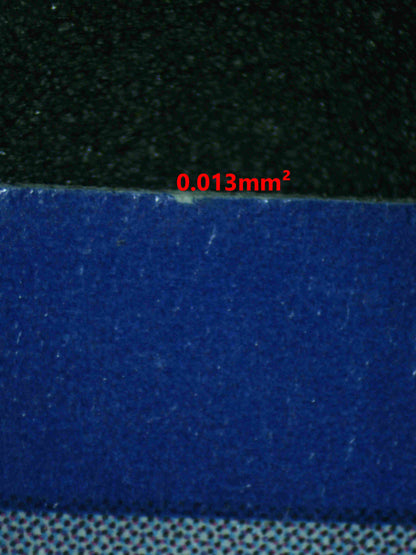 07193 MIGHTYENA EX Grading Card