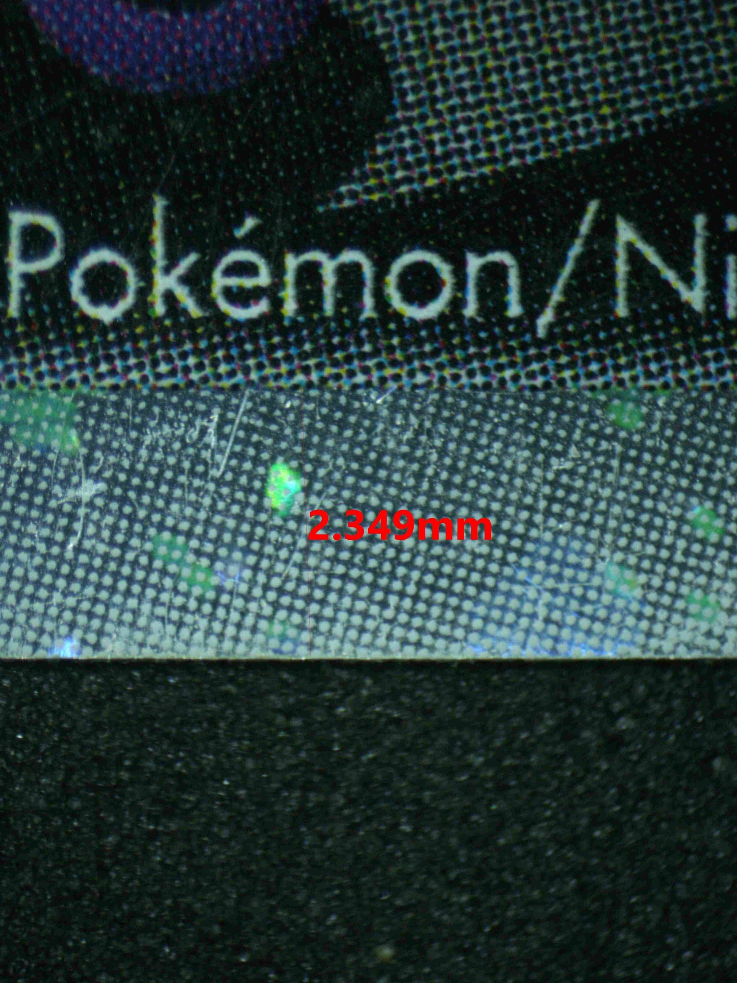 07193 MIGHTYENA EX Grading Card