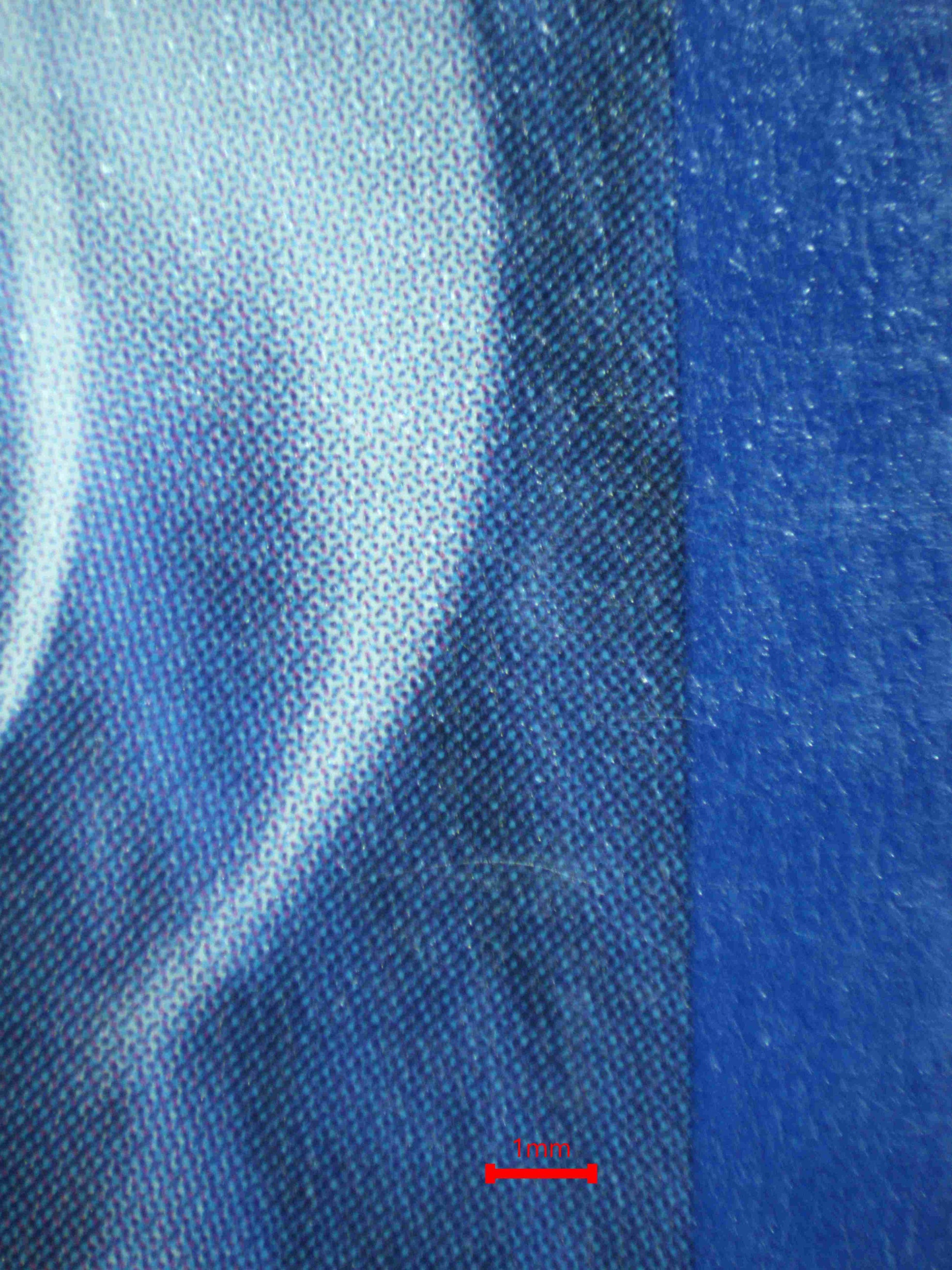 07196 FURRET Grading Card