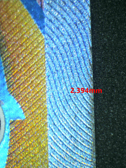 07206 CHARIZARD EX (SPANISH) Grading Card