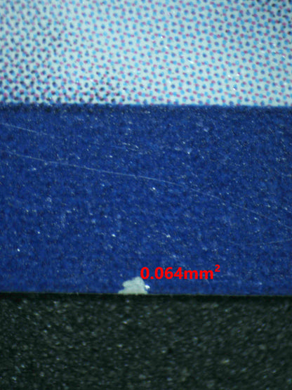 07209 SYLVEON EX Grading Card