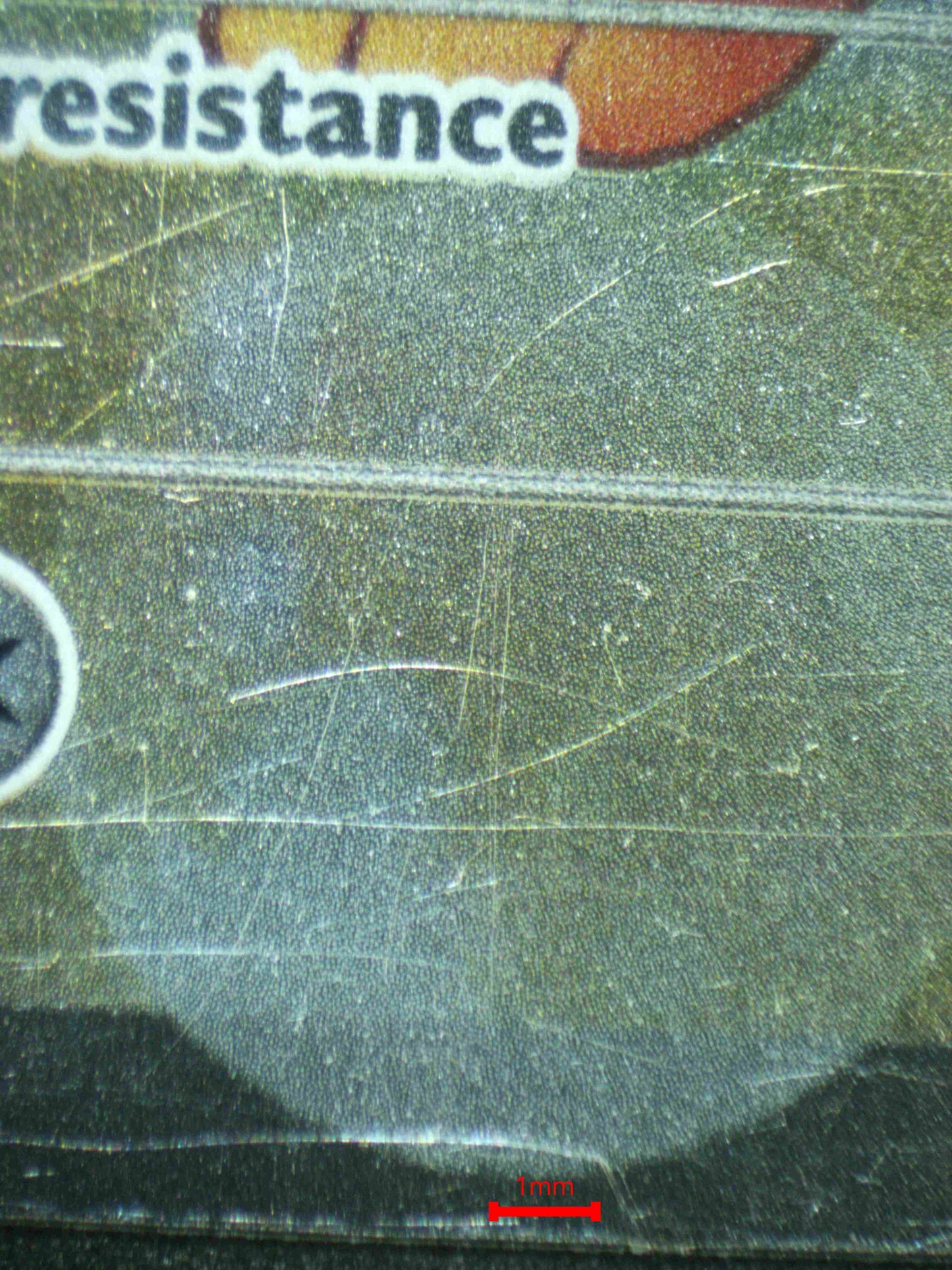 07210 FLAREON EX Grading Card