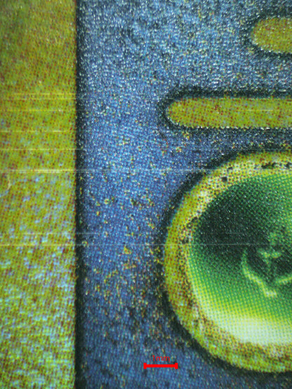 07212 ANCIENT MEW (MOVIE 2000) Grading Card