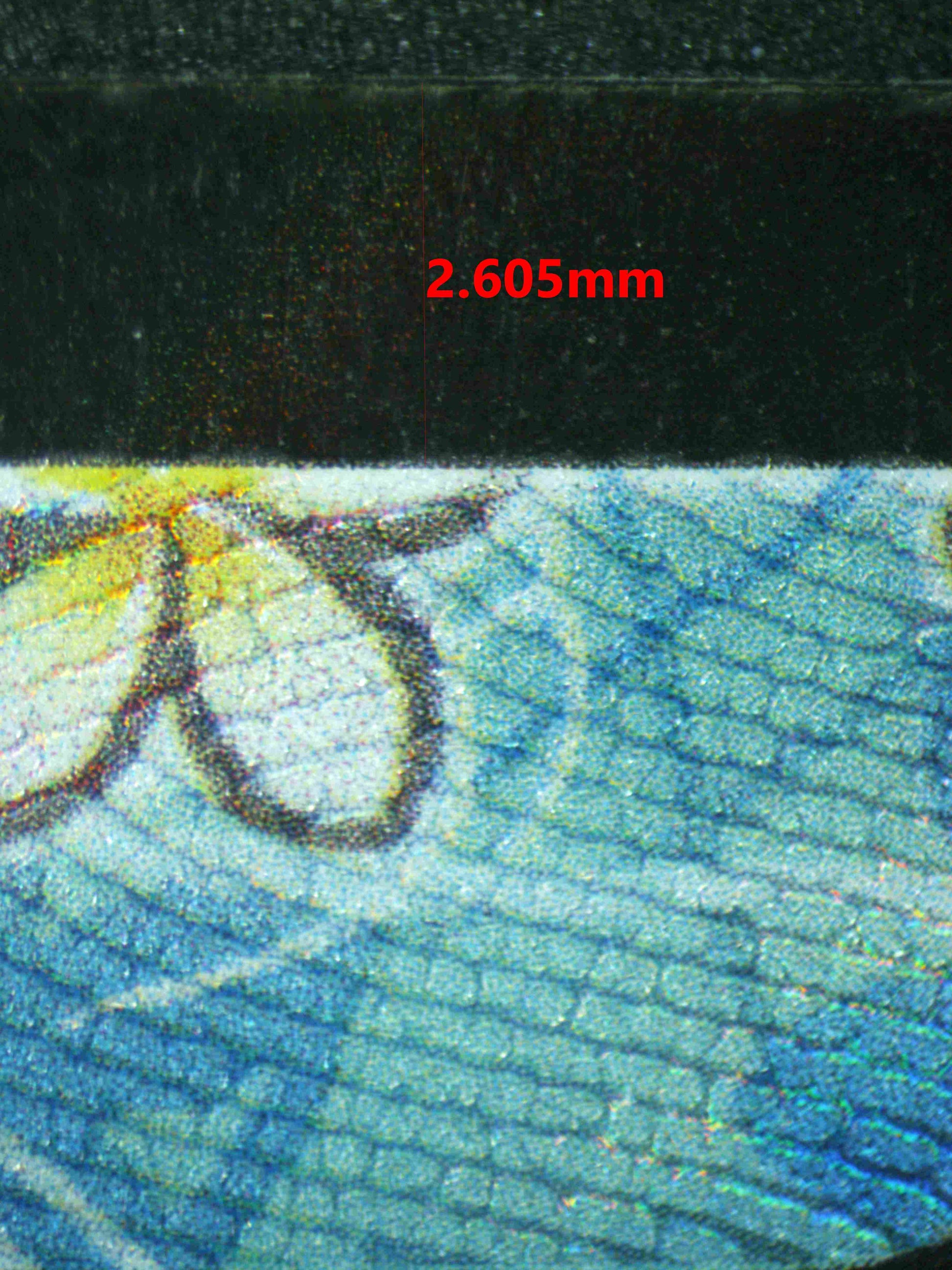 07215 STARMIE V Grading Card