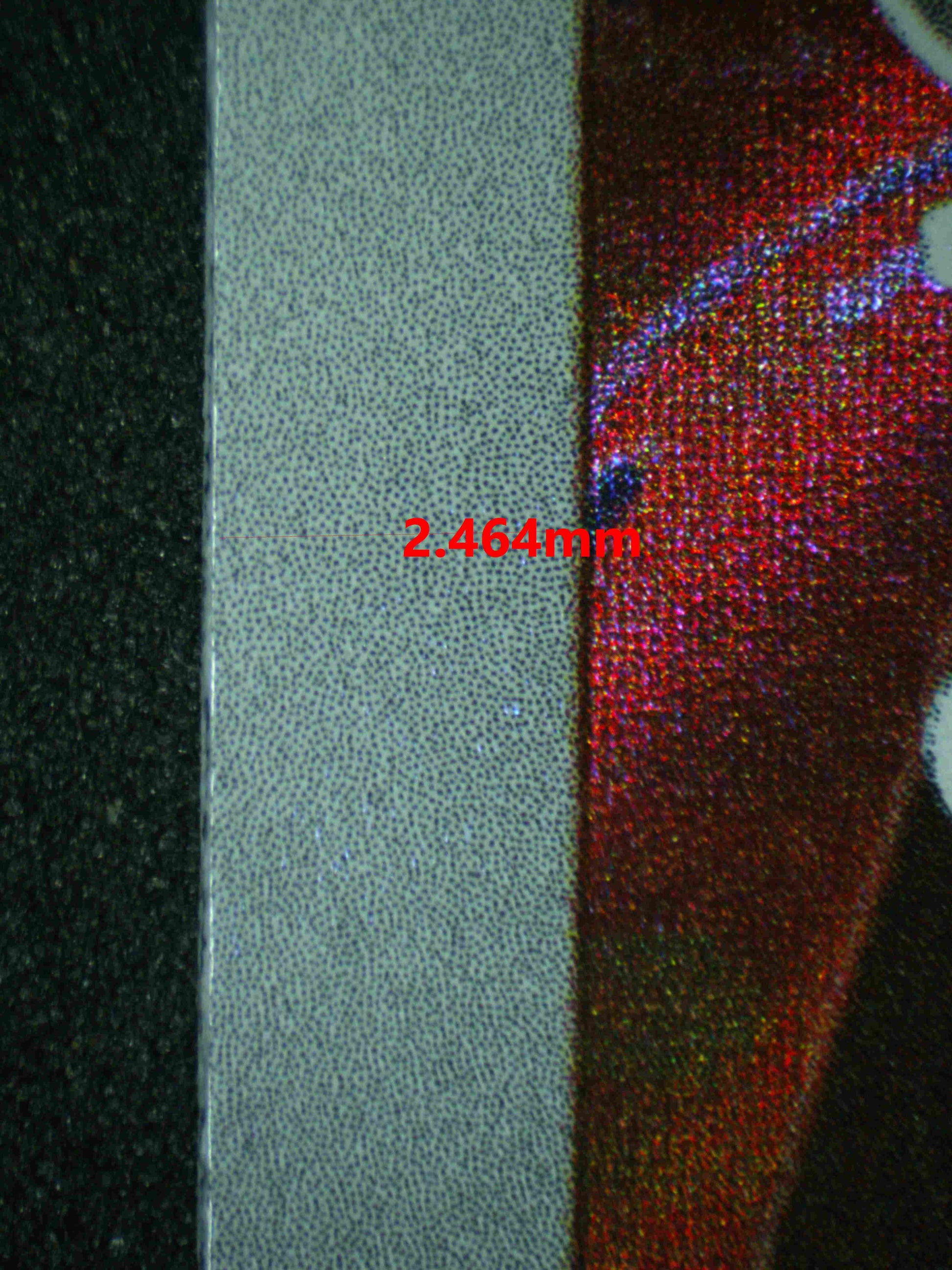 07218 SCIZOR Grading Card