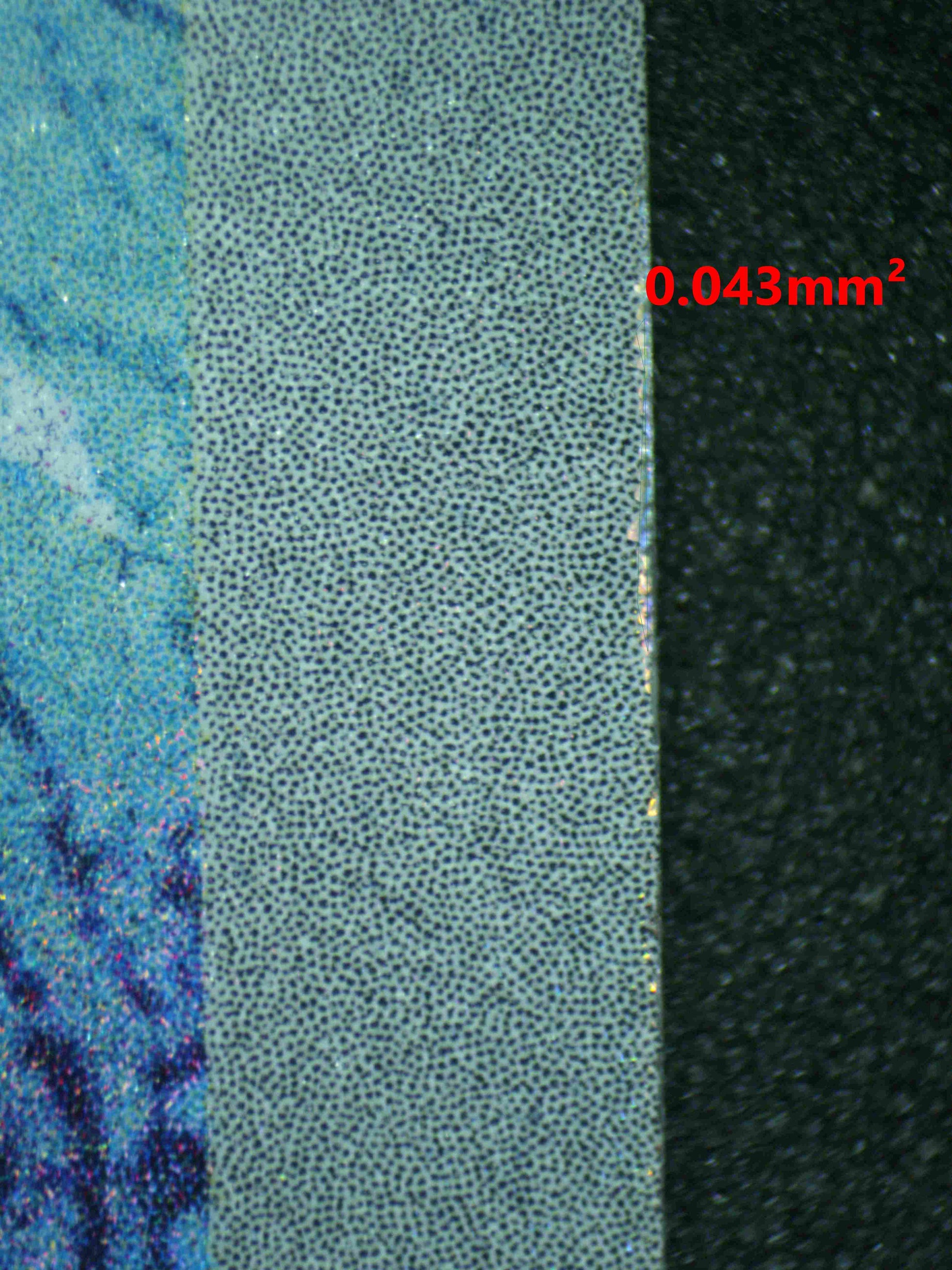 07219 ARTICUNO Grading Card